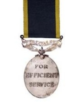 TF Efficiency Medal (Army OR)