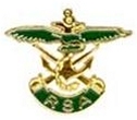 NZRSA Associate Member Badge (Est. 1998)